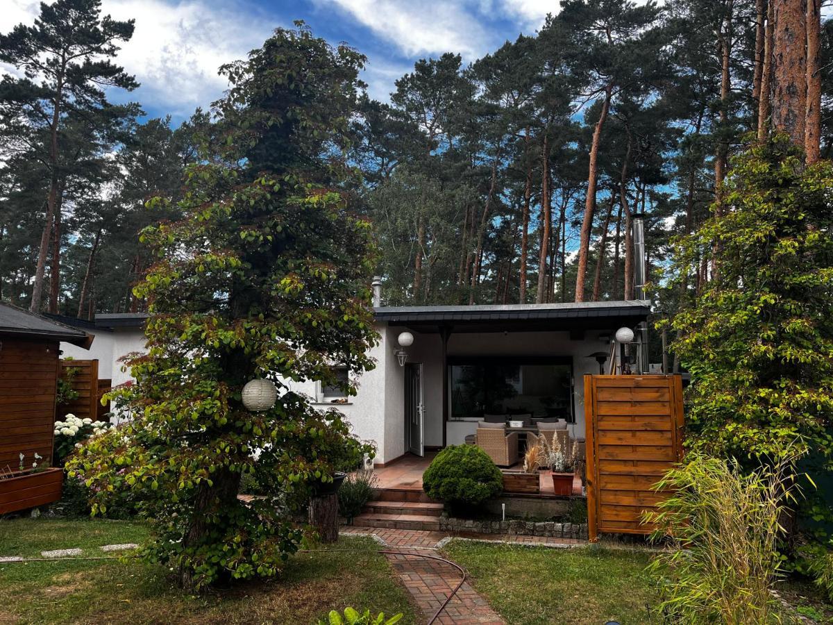 Kiefernblick Villa Plotzky Exterior photo